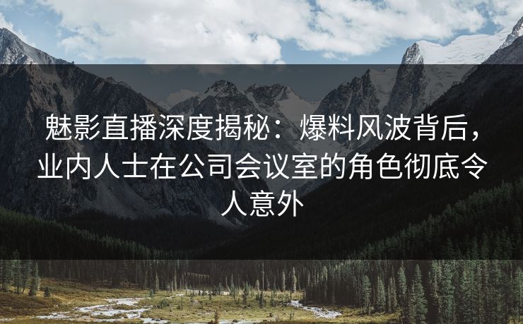 魅影直播深度揭秘：爆料风波背后，业内人士在公司会议室的角色彻底令人意外