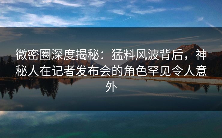 微密圈深度揭秘：猛料风波背后，神秘人在记者发布会的角色罕见令人意外